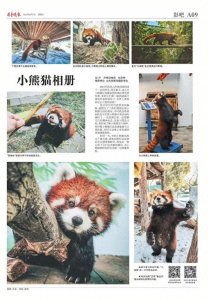 ​影吧2023|“摄”取美好，齐鲁晚报《影吧》版上看拍客大片