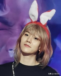 ​EXO伯贤女装造型，男扮女装毫无违和感，美美的“伯仙女”