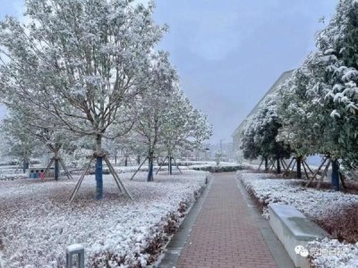 ​昆明下雪了！云南多地加入下雪“群聊”