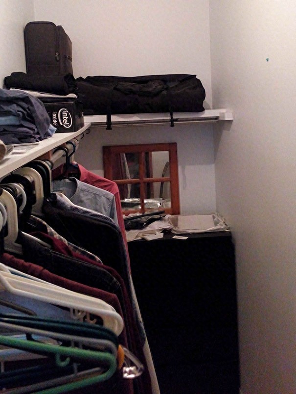 找一找，你能找到图片中的猫咪么？考眼力的时候到了