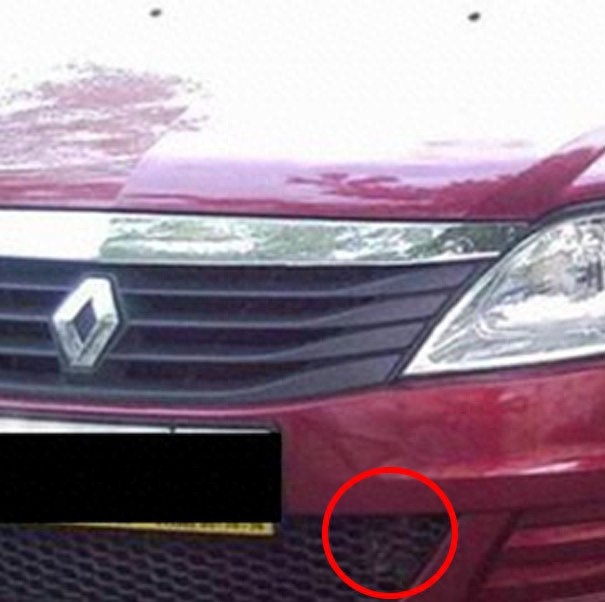 找一找，你能找到图片中的猫咪么？考眼力的时候到了