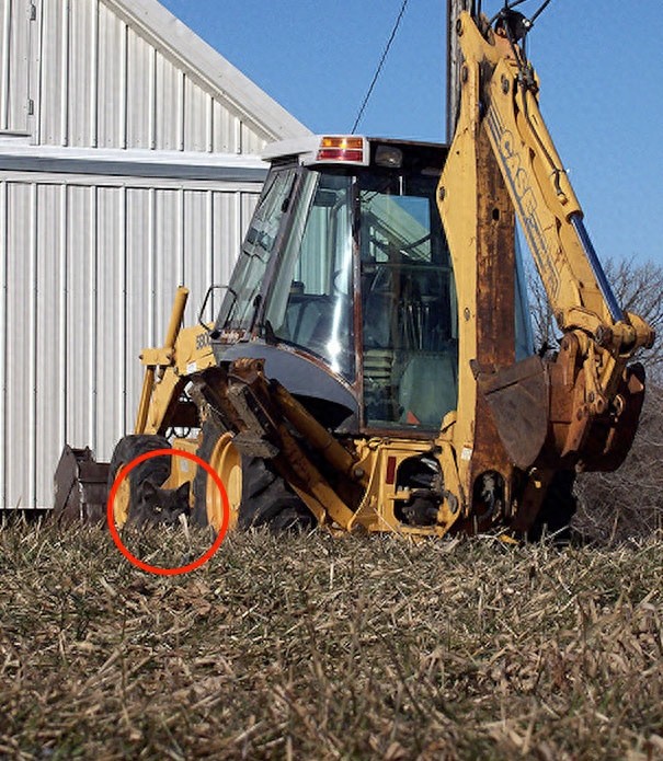 找一找，你能找到图片中的猫咪么？考眼力的时候到了