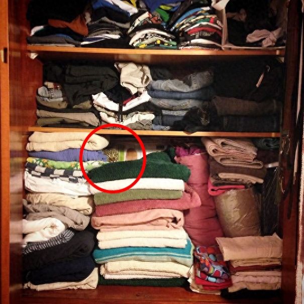 找一找，你能找到图片中的猫咪么？考眼力的时候到了