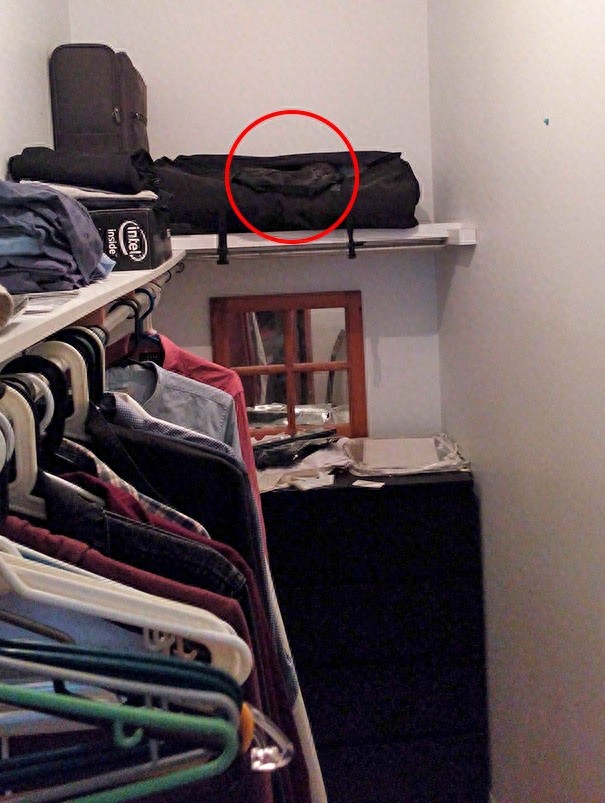 找一找，你能找到图片中的猫咪么？考眼力的时候到了