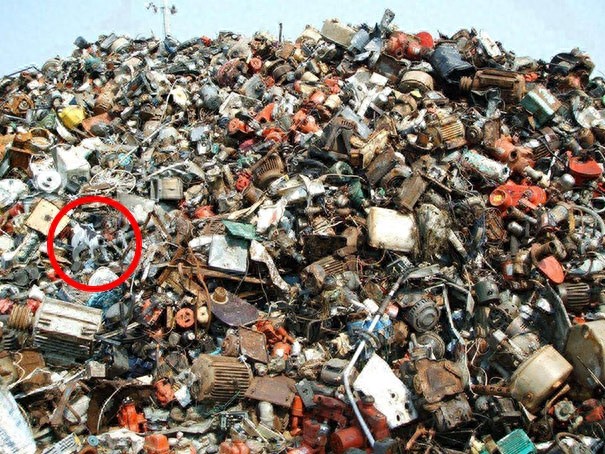 找一找，你能找到图片中的猫咪么？考眼力的时候到了