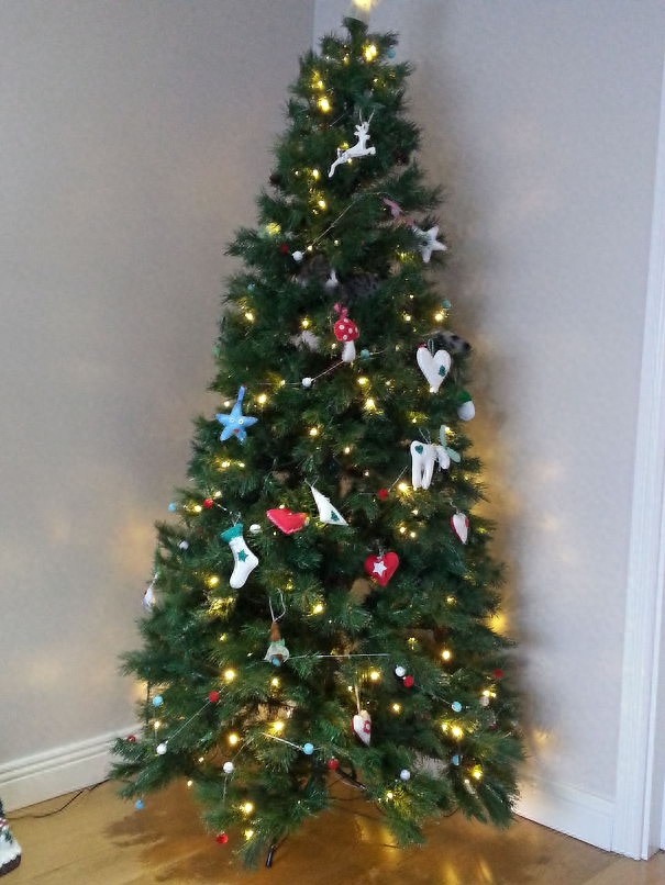 找一找，你能找到图片中的猫咪么？考眼力的时候到了