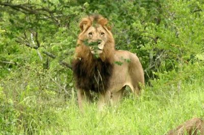 ​一代传奇坏男孩联盟