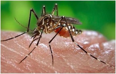 ​俄将军爆出猛料！美国正在用乌克兰人做实验