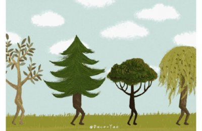 ​“植树节”的英文为啥是Arbor Day？老师教错了吗？