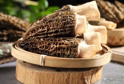 ​探秘羊肚菌：种植技巧与美味的邂逅