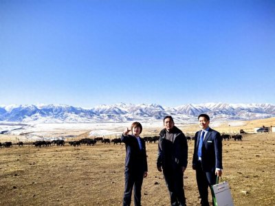 ​“金融为民”系列之6——做普惠金融综合服务商，邮储银行打造服务乡村振兴主