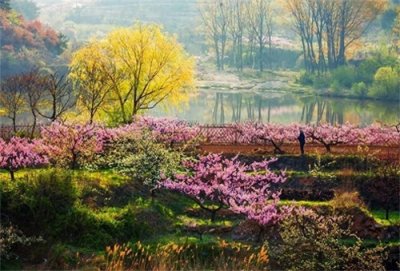 ​唐诗寻春若耶溪