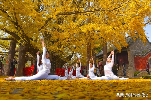 天下银杏第一树