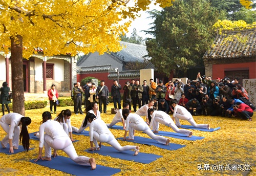 天下银杏第一树