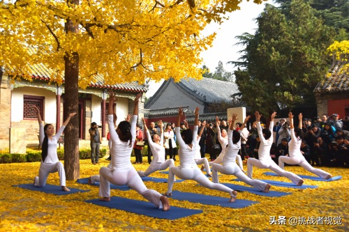 天下银杏第一树