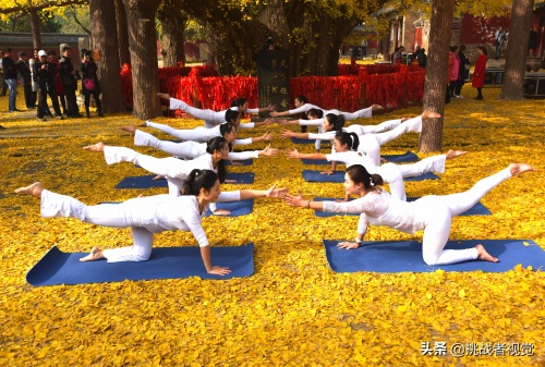 天下银杏第一树