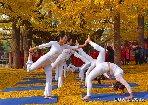 天下银杏第一树