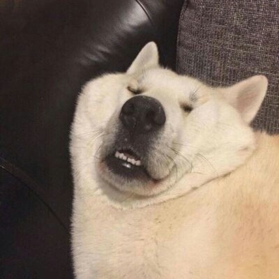 微信群头像沙雕搞笑的