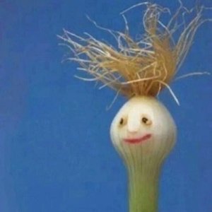 ​微信群头像沙雕搞笑的