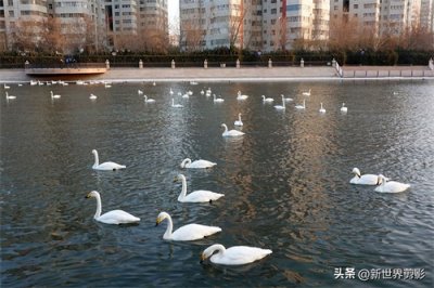 ​2025五一库尔勒旅游攻略｜五天四晚反向出游，解锁“塞外江南”！