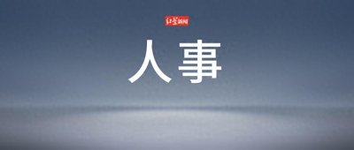 ​广东最新人事任免