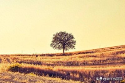 ​零基础也能画彩铅，教你画一幅风景画