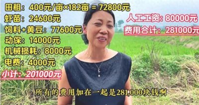 ​小龙虾养殖到底能赚多少？182亩地仅赚1800元的真实原因曝光