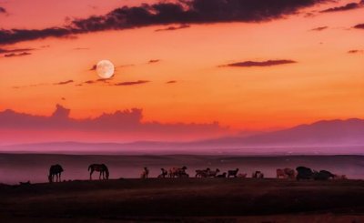 ​生而平凡就是大多数人的命运