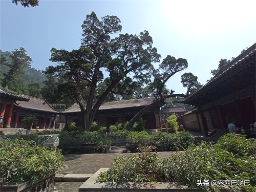 山西交城卦山——爻峰挺秀，古柏参天