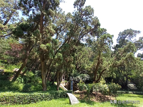 山西交城卦山——爻峰挺秀，古柏参天