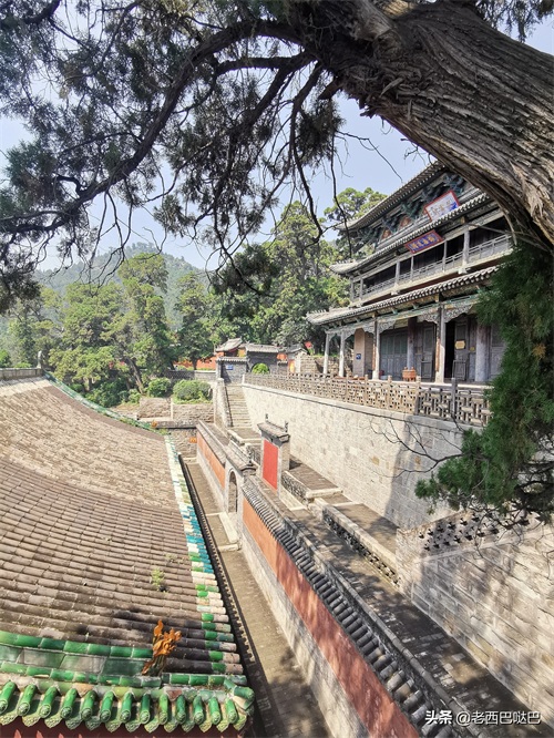 山西交城卦山——爻峰挺秀，古柏参天