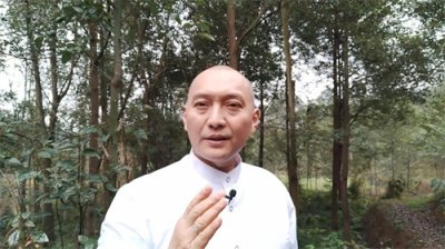 ​树上挂满金黄的果子，你千万不要吃，苦楝果有毒但作用不少