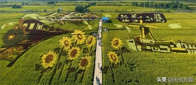 ​稻梦空间——以农业文化为视点的休闲旅游打卡地