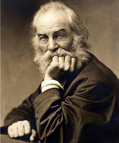 美国最受欢迎的前二十位作家,你都认识几位?