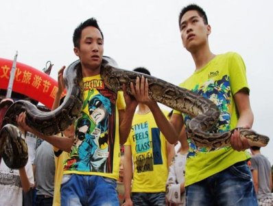 ​3000多年的福建蛇图腾文化——闽：门内有“蛇”