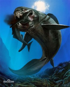 ​惊！鲨鱼都敢吃的超级海怪邓氏鱼，你敢看吗？