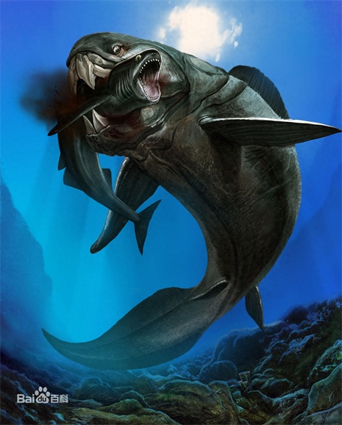 惊！鲨鱼都敢吃的超级海怪邓氏鱼，你敢看吗？