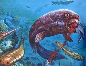 惊！鲨鱼都敢吃的超级海怪邓氏鱼，你敢看吗？