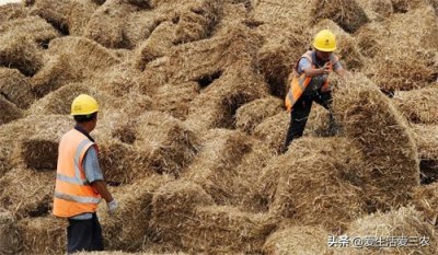 ​秸秆回收能赚多少钱？年入几十万真不难，不信来看！