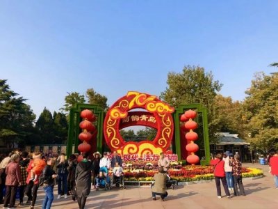 ​再不去就看不到了！青岛中山公园菊花展你去了吗？