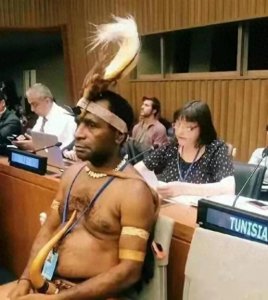 ​西巴布亚新几内亚传统服饰惊艳联合国大会