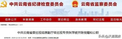 医疗人看纪委内鬼之张萍