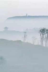 ​图集 丨 威海绝美照片流出，每一张都美成壁纸！