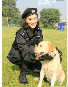 ​拉布拉多寻回犬的特征及饲养的正确方法