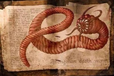 ​神秘的“蒙古死亡蠕虫”到底真实存在吗？