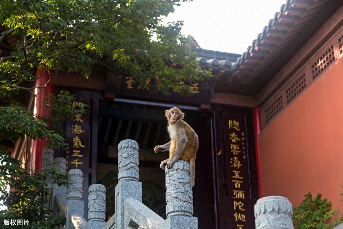 江苏连云港花果山
