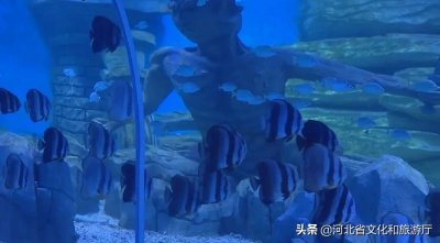 ​保定海洋科技馆趣味十