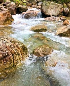 ​为什么过山峰蛇蛋绝不能碰？网友分享让人细思极恐，太可怕了