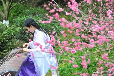 ​人间四月芳菲尽，山寺桃花始盛开