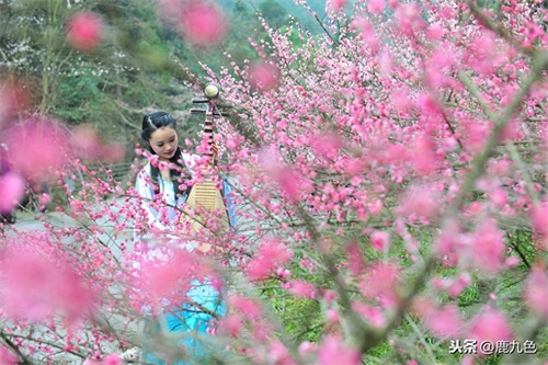 人间四月芳菲尽，山寺桃花始盛开